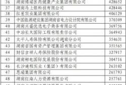 湖南地区新闻爆料电话,倾听民声，守护公平正义