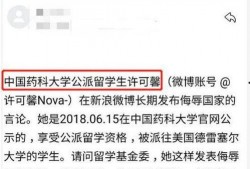 各地留学生爆料案例最新,全球校园安全事件盘点，揭秘留学生活中的风险与挑战